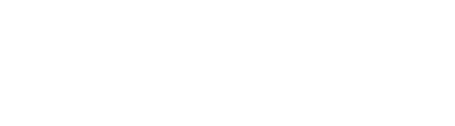 Directors of the Extraordinary logo