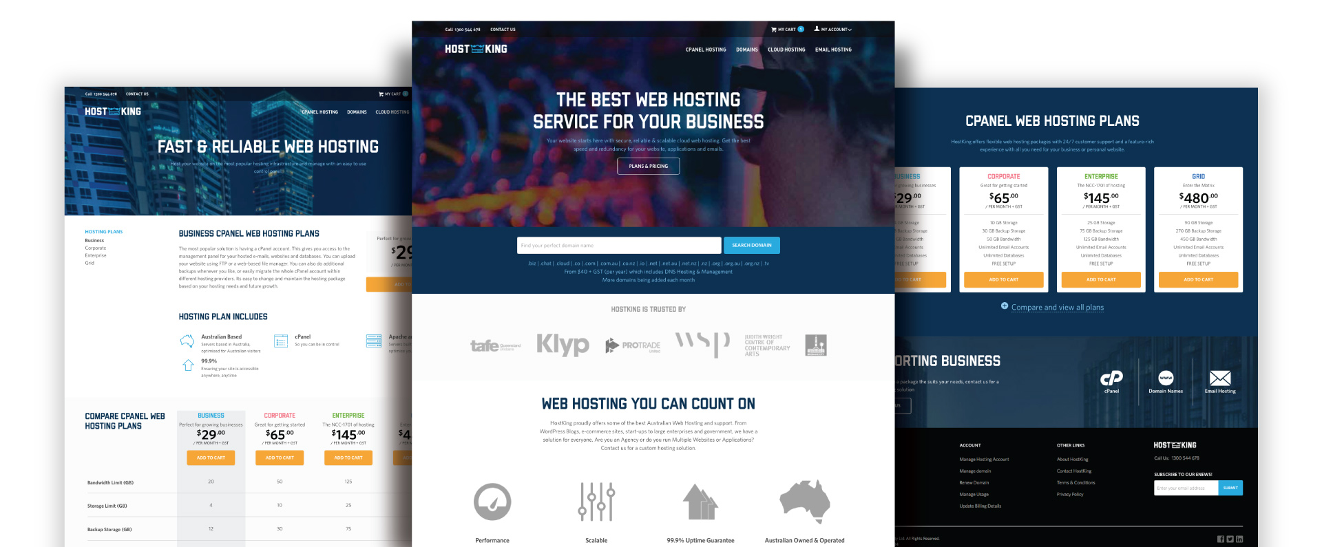 Hostking website design